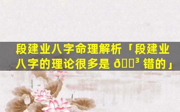 段建业八字命理解析「段建业八字的理论很多是 🐳 错的」